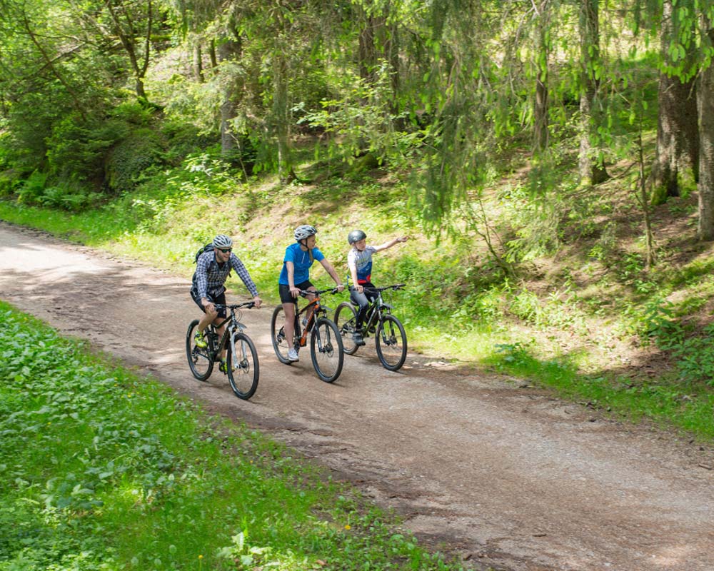 Carpe Diem Ferienapartments Schönwald Mountainbike Touren im Schwarzwald